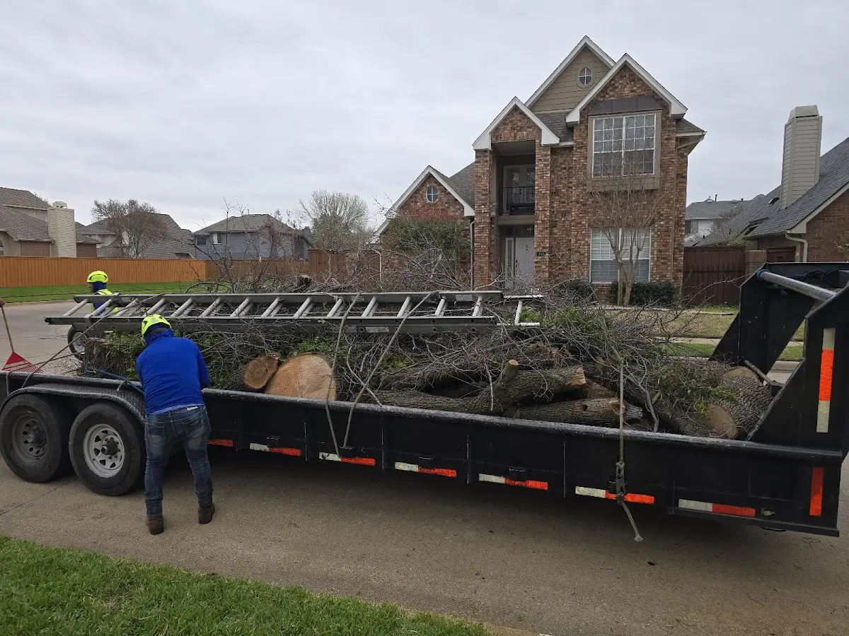 Expert Tree Fertilization with proper safety equipment in Post